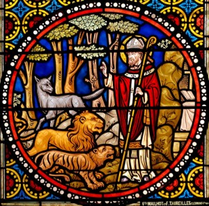 Lions stained glass cover